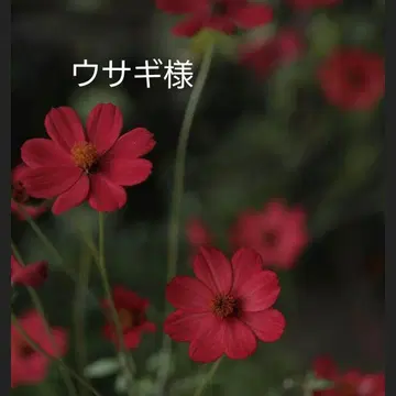 [ 토끼님 ] BTS 메모장 모음