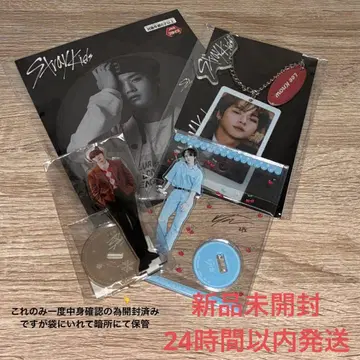 후류 x straykids 리노 백참 & BIG 캔뱃지