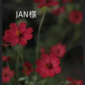 [JAN님] BTS 메모장 묶음