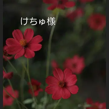 [ 케츄님 ] BTS 메모장 묶음