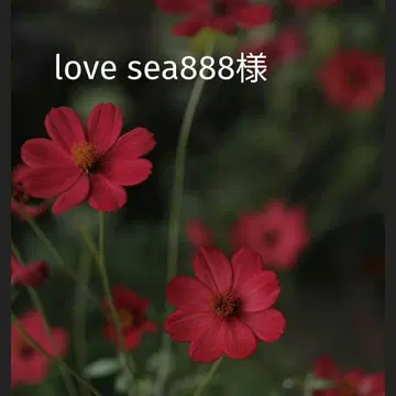 [ love sea888님 ] BTS 메모장 묶음