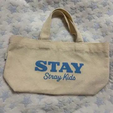 StrayKids 스키즈 백 토트 본국 2기