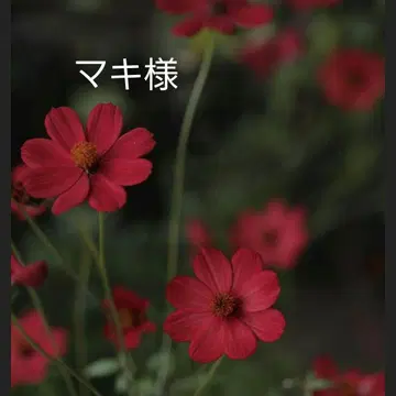 [ 마키 님 ] BTS 메모장 묶음