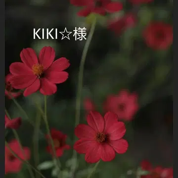 [ kiki 님 ] BTS 메모장 묶음