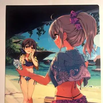 Fate/kaleid liner 프리즈마 이리야 드라이!! 클리어 파일