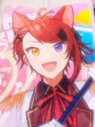 스토푸리 타월 리이누