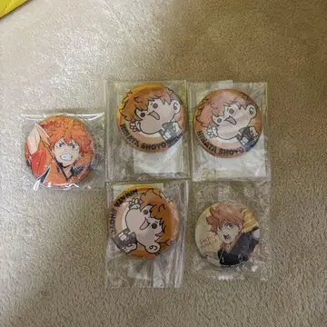 히나타 쇼요 캔뱃지 5개 세트