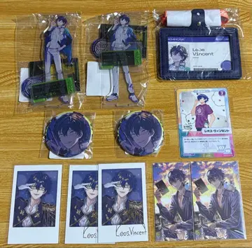 니지산지 레오스 빈센트 세트