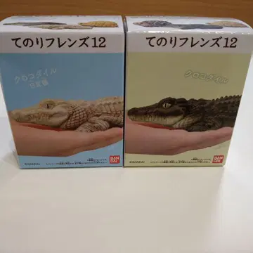테노리 프렌즈 12 크로커다일 화이트 변종 크로커다일 묶음 판매