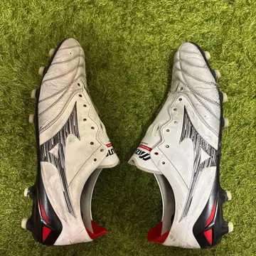 모렐리아 네오 4