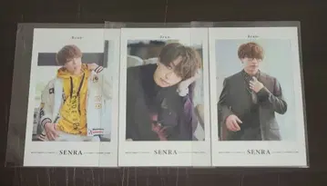 센라 폴라로이드 포토 카드 Brun