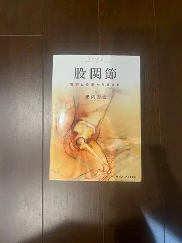 고관절 협조와 분산에서 파악하기