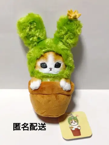 mofusand 모프 샌드 선인장냥 봉제인형 토끼 같냥