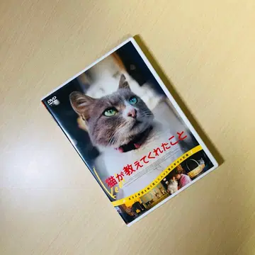 [ 단종 ] [ 고양이가 가르쳐 준 것 ] DVD