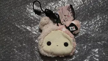 센티멘탈 서커스 가마구치 케이스