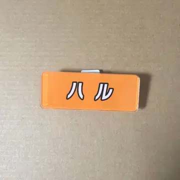 초특급 하루 후지비지 명찰