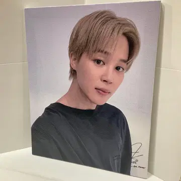 BTS 지민 캔버스 패널
