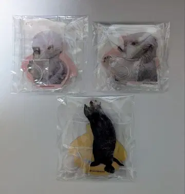 캡복권 x 토바 수족관 랏코의 메이짱 복권 리턴즈! 아크릴 스탠드