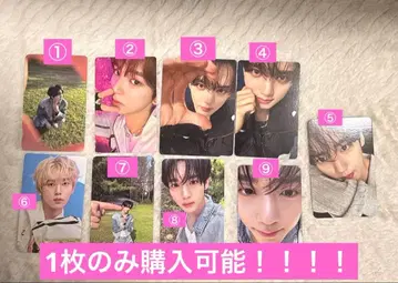 한유진 zb1 트레이딩 카드