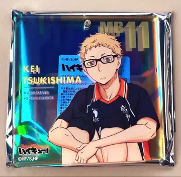 하이큐 팬파크 쇼와노트 오로라 브로키 츠키시마 케이