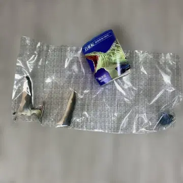 공룡 발굴기 백악기 프테라노돈