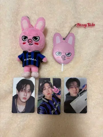 straykids skzoo 돼끼 굿즈 트레이딩 카드 세트