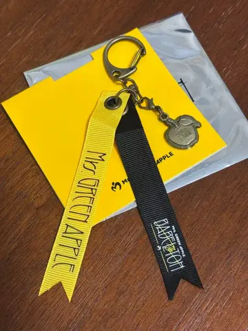 Mrs. GREEN APPLE 랜덤 가챠 키링 E BABEL