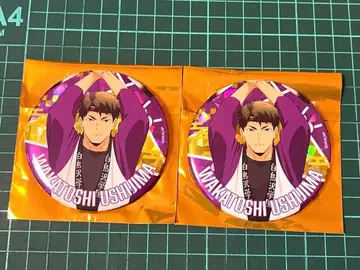 하이큐 위크 참새춤 호로 캔뱃지 2점 우시지마 와카토시