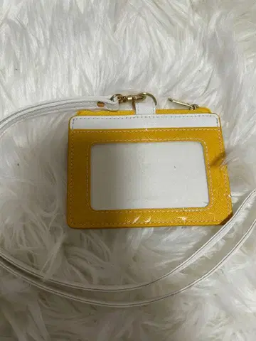 디즈니 패스 케이스