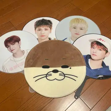 보넥도 리우 부채 묶음 판매