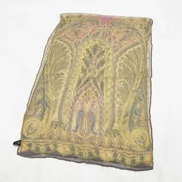 ETRO 에트로 스톨 페이즐리 패턴 실크