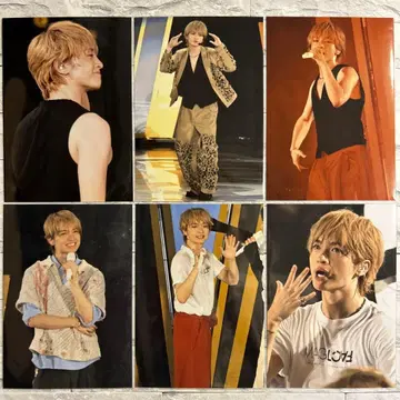 타마모리 유타 사진