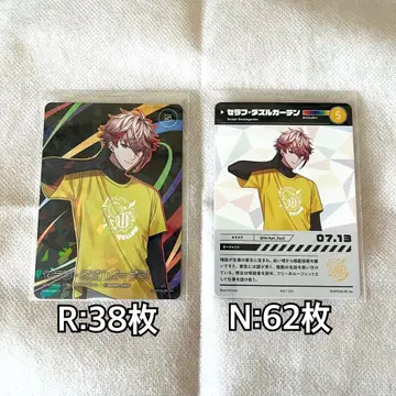 니지산지 세라프 대즐 가든 니지 페스 컬렉션 카드