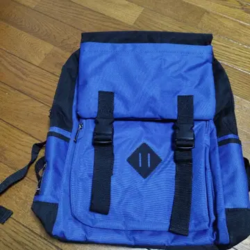 파랑과 블랙의 백팩 백팩