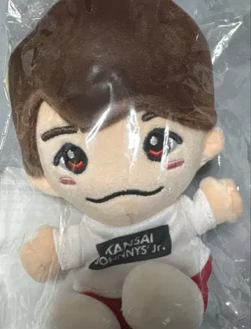 나니와단시 니시하타 다이고 치비 누이