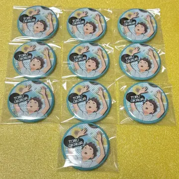 하이큐!! 오이카와 토오루 추억 캔뱃지 유년기