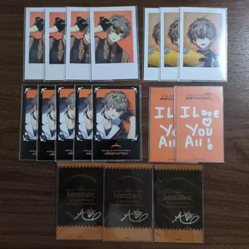 알반 녹스 폴라로이드풍 카드 17장 묶음 판매