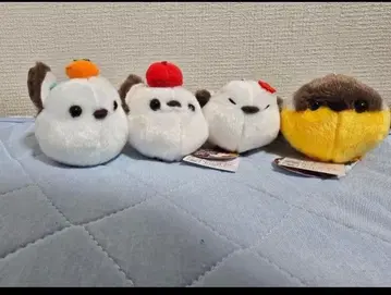 복복 시마연가 가을 컬러 절정 VMC 전 4종 컴플리트 세트 3