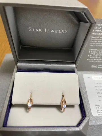 STAR JEWELRY 다이아몬드 블루문스톤 귀걸이