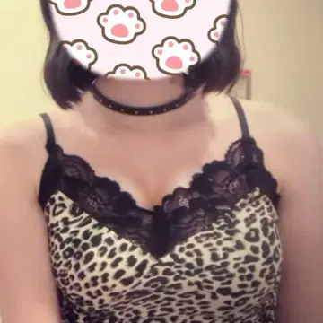 할로윈 코스프레 레오파드 고양이 축제