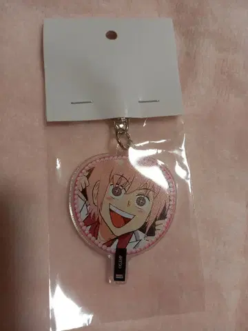 에브리데이 호스트 코이치 부채 키링