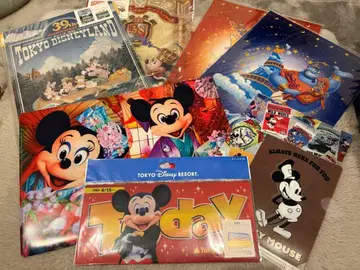 도쿄 디즈니 리조트 클리어 파일 티켓 케이스 10장 세트