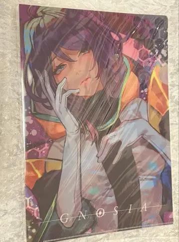 그노시아/빌레반/지나/클리어 파일