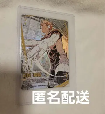 하이큐!! 바보카 히나타 쇼요