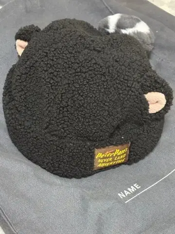 디즈니씨 피터팬 로스트 키즈 팬캡