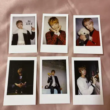 SEVENTEEN THE 8 포토 카드