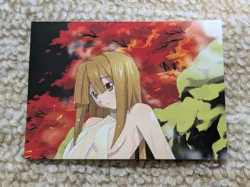 세토의 신부 구매 혜택 미니 카드