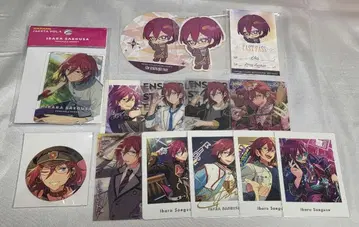 사에구사 이바라 묶음 판매