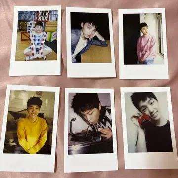 SEVENTEEN 디노 포토 카드