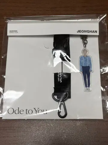 SEVENTEEN 정한 Ode to You 랜야드 미사용 새상품